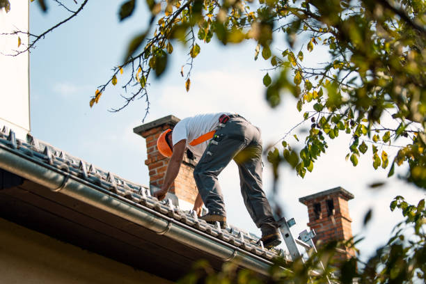 Best Roof Leak Repair  in Harbour Heights, FL