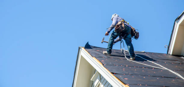 Roof Gutter Cleaning in Harbour Heights, FL
